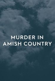  Murder in Amish Country Poster