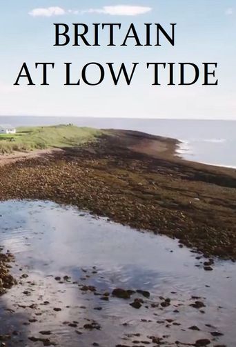 Britain at Low Tide Poster