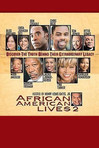  African American Lives Poster
