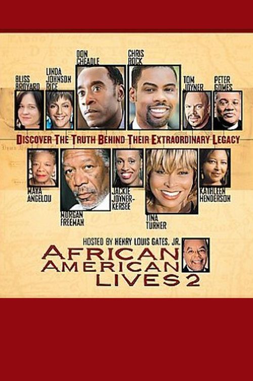 African American Lives Poster