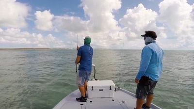 Season 14, Episode 09 Blacktips by Spin and Fly
