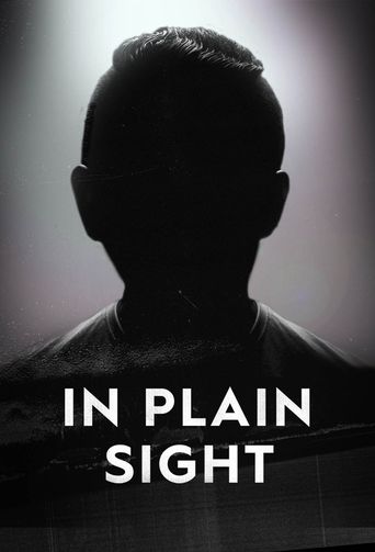  In Plain Sight Poster