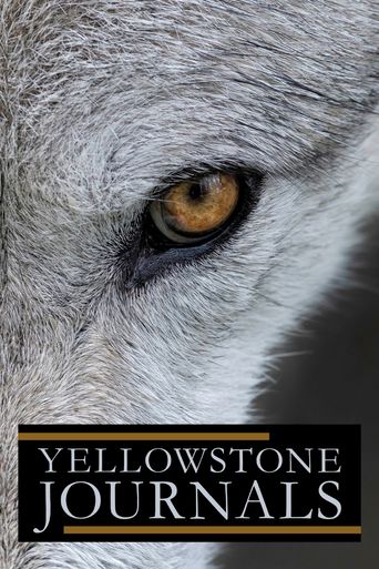  Yellowstone Journals Poster