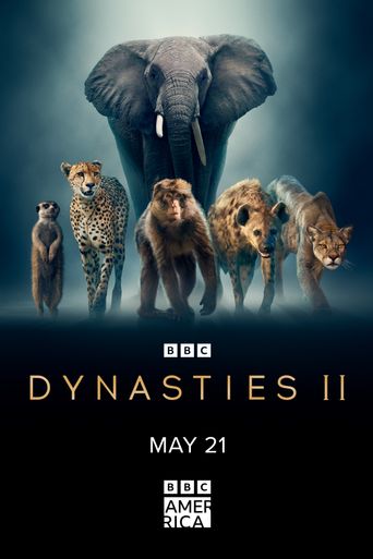  Dynasties II Poster