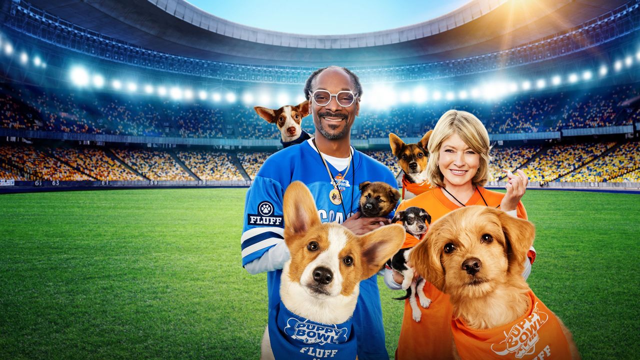 Season 16, Episode 08 Puppy Bowl XVI Presents Where Are They Now?