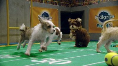 Season 01, Episode 07 Puppy Bowl XIII