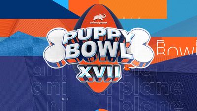 Season 17, Episode 11 Puppy Bowl XVII