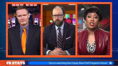 Season 17, Episode 09 Puppy Bowl XVII: Pre-game Show