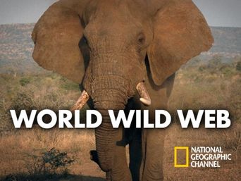  World Wild Web Poster
