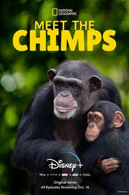  Meet the Chimps Poster