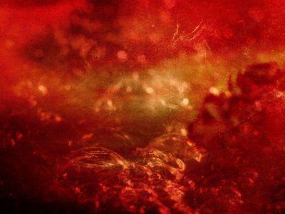 Season 01, Episode 08 Episode #1.8