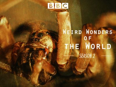 Season 02, Episode 08 Episode #2.8