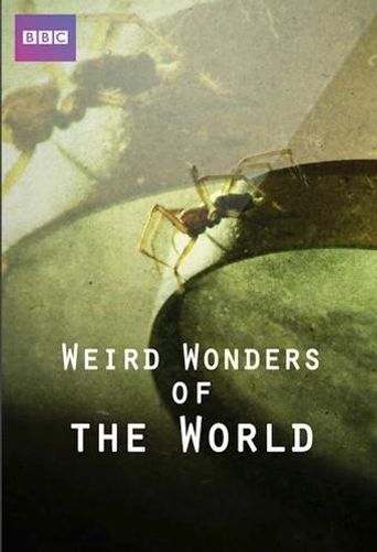 Weird Wonders of the World Poster