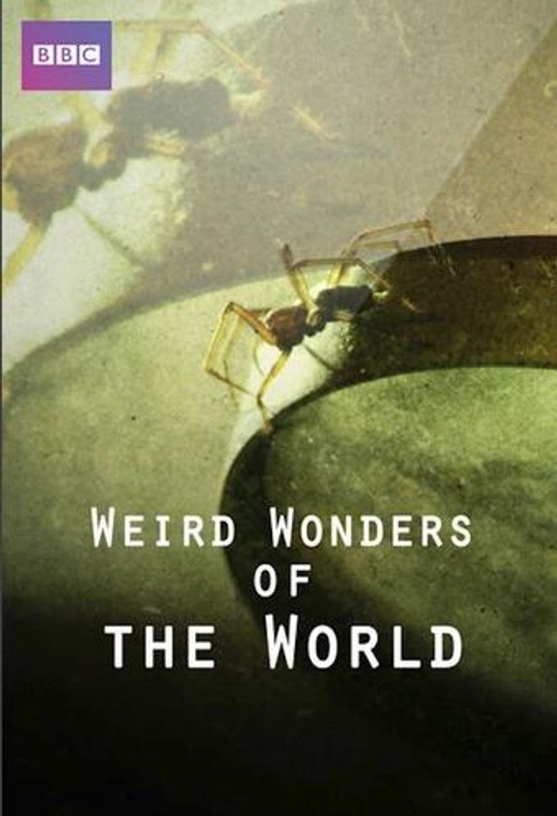 Weird Wonders of the World