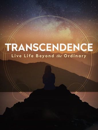  Transcendence Poster