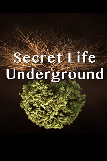  Secret Life Underground Poster