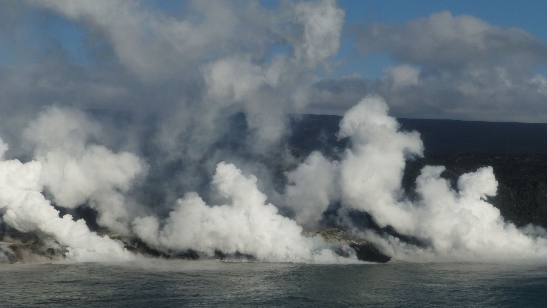 Wild Hawaii Backdrop