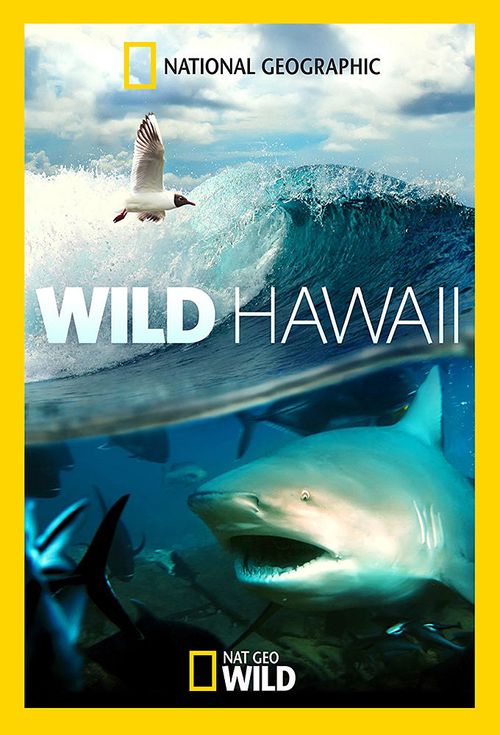 Wild Hawaii Poster