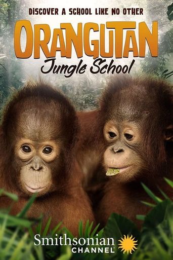  Orangutan Jungle School Poster