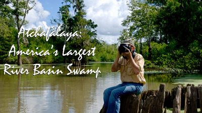 Season 2018, Episode 02 Atchafalaya: America’s Largest River Basin Swamp