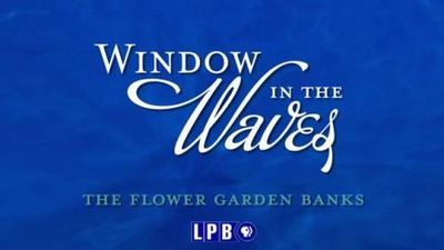 Season 2014, Episode 12 Window in the Waves