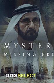  Mystery of the Missing Princess Poster
