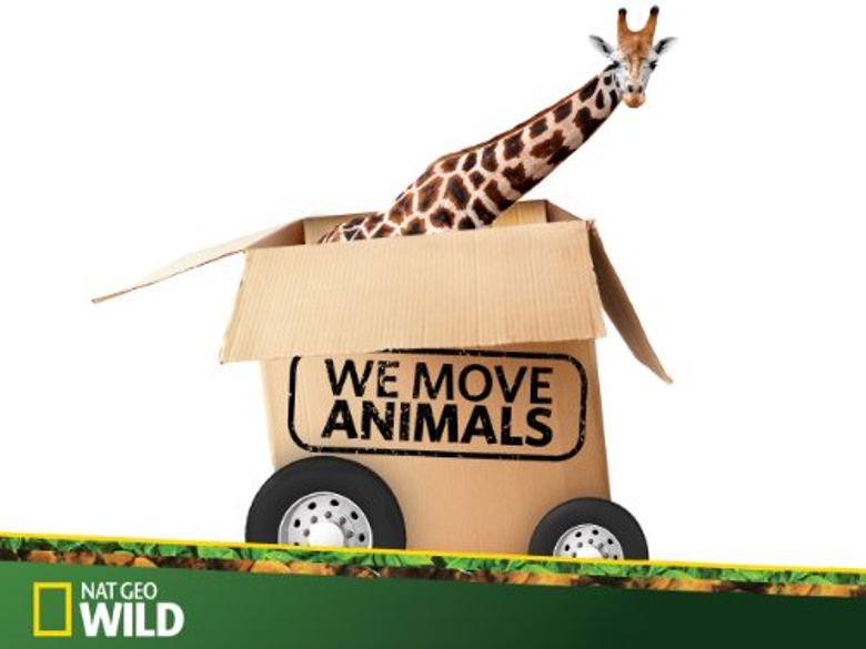 We Move Animals