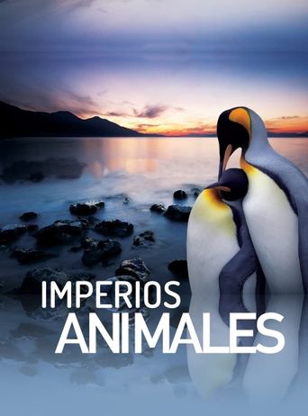 Animal Empire Season 1 Poster