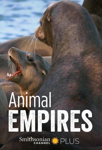  Animal Empire Poster