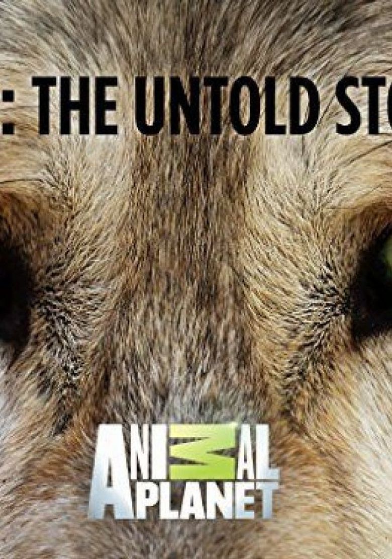 Dogs: The Untold Stories Dogs: The Untold Stories