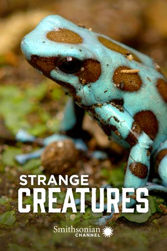  Strange Creatures Poster