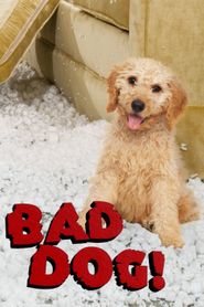  Bad Dog! Poster