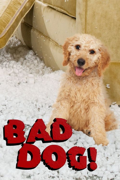 Bad Dog! Poster