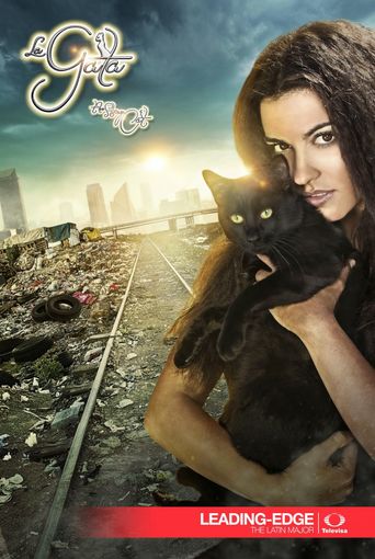  The Stray Cat Poster