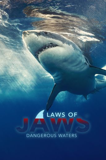  Laws of Jaws: Dangerous Waters Poster