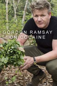 Gordon on Cocaine Season 1 Poster