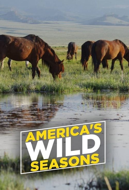 America's Wild Seasons Season 1 Poster