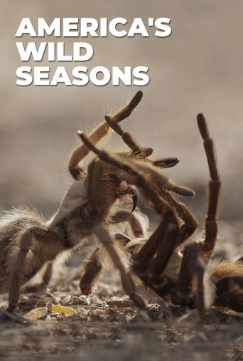  America's Wild Seasons Poster