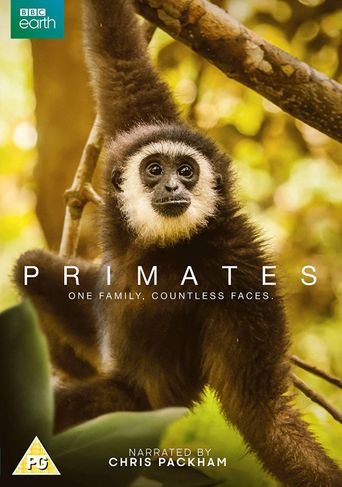  Primates Poster