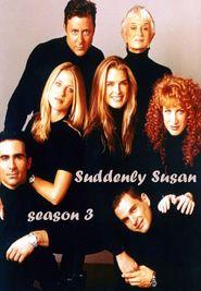 Suddenly Susan Season 3 Poster