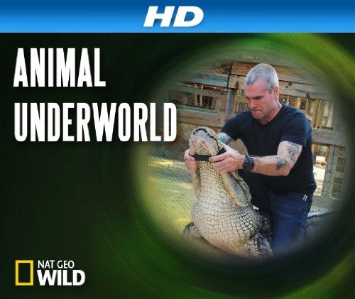 Animal Underworld Poster