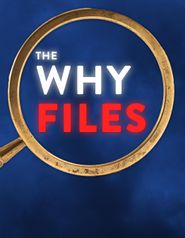  The Why Files Poster