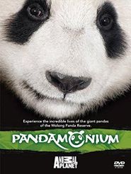  Pandamonium Poster