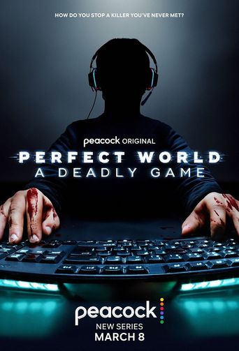  Perfect World: A Deadly Game Poster