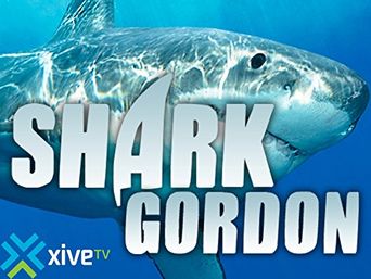  Shark Gordon Poster