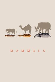  Mammals Poster