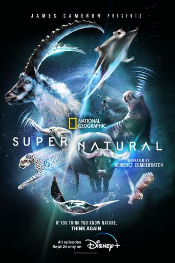  Super/Natural Poster