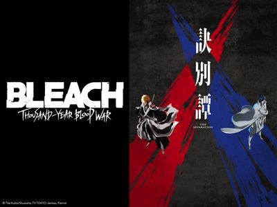 Bleach: Thousand-Year Blood War, Netflix's Lincoln Lawyer, and more new TV  - Polygon
