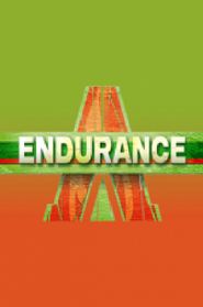  Endurance Poster