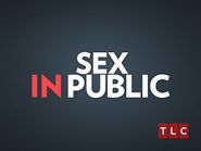  Sex in Public Poster